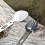 Πολυχρηστικό κάμπινγκ Spork, από ανοξείδωτο ατσάλι, λειτουργικό φαγητό, 5