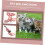 Cat Leash with Adjustable Harness, Secure Escape Prevention, Comfortable Leash 5