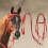 Adjustable headstall for horses  Reins Adjustable Headstall  Bridle  Ranch Rope 2