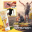 Bee Venom Turmeric Joint Relief Gel 5