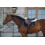 Saddle Pad Imitation Lambskin Anat. BK/N 3