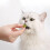 50G Hairball Remover Cat Grass 5