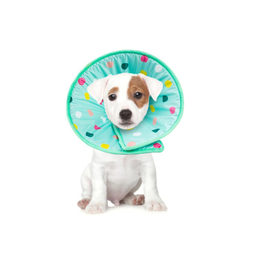 Inflatable Elizabethan Collar for Pets, Size S, Leak Protection