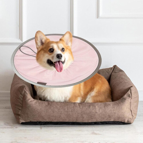 Soft Protective Cone for Pets, Adjustable Pet Recovery Collar, Cat Wound Care Cone 1