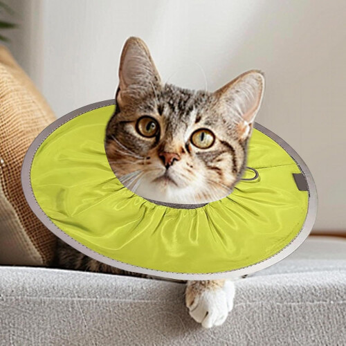 Adjustable Recovery Collar for Cats 2