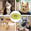 Adjustable Recovery Collar for Cats 4