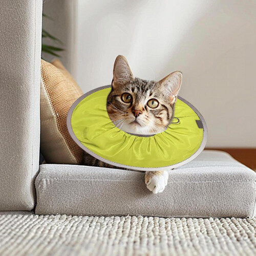 Adjustable Recovery Collar for Cats 1