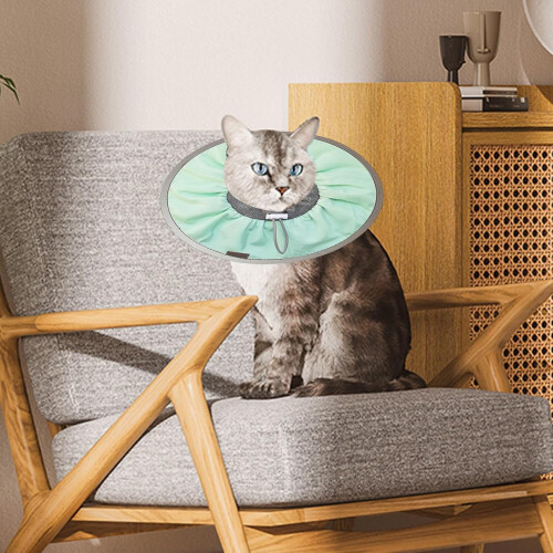 Cat Wound Care Cone, Lightweight Pet Cone, Licking Prevention Collar 2
