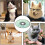 Cat Wound Care Cone, Lightweight Pet Cone, Licking Prevention Collar 2
