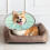 Cat Wound Care Cone, Lightweight Pet Cone, Licking Prevention Collar 4