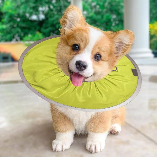 Cat Wound Care Cone, Lightweight Pet Cone, Licking Prevention Collar Ref: 5164 2