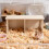 knabbelhuis hamster, , cavia en rat - hout 3