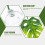 6 Decorative Per Bettas In Artificiali Resistenti 9