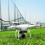 Αεροπορικός Σύντροφος: Drone με Κάμερα HD 1080P & Έξυπνες Λειτουργίες, 6