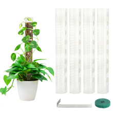 Estaca para plantas em formato de D, com design fechado, ideal para Monstera. Fácil instalação e suporte para plantas trepadeiras com estrutura