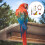 5Ud Para Mascotas Pájaro Mordedor Multicolor Resistente 7