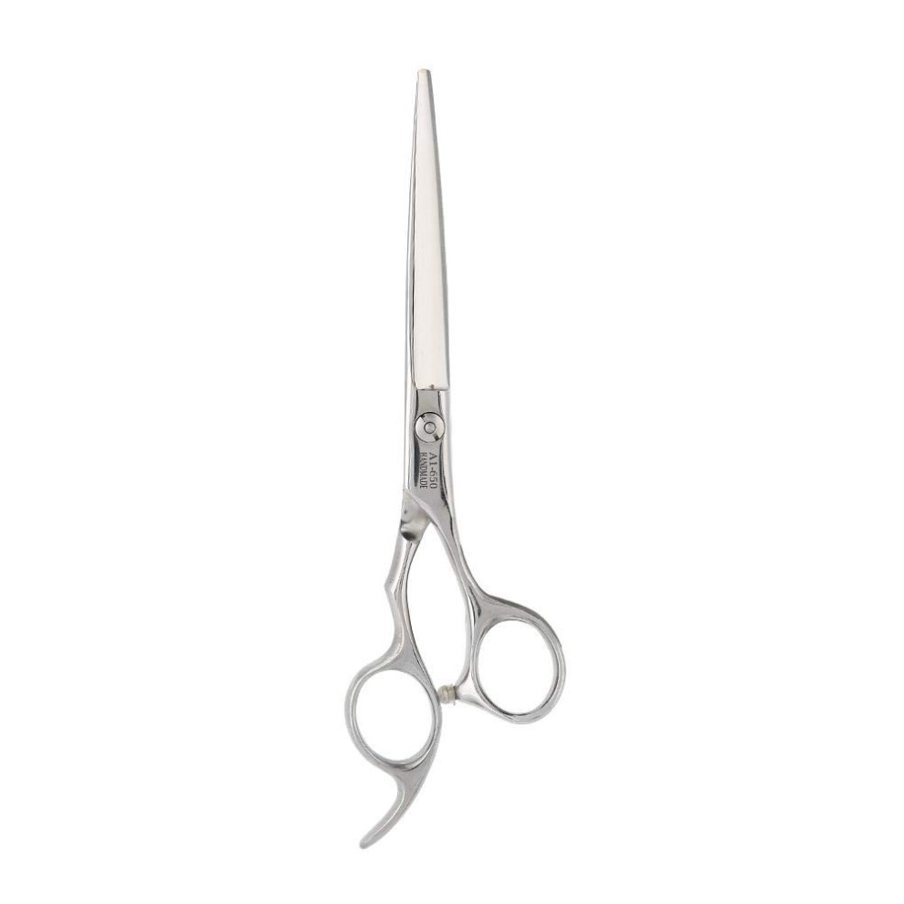 Hairdressing Scissors, 2 Types Hair Cutting Scissors, Professional Shears, Silver