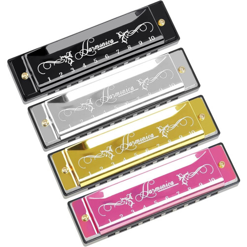 Professional 10Hole Harmonica in 20 Keys with Case for Beginners (Silver) 1