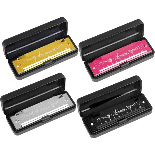Professional 10Hole Harmonica in 20 Keys with Case for Beginners (Silver) 2