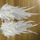 1 Paar Borduurkant Vrouwen Schouder 3D Decoratie Wit 10
