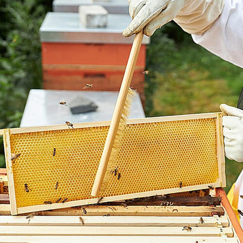 Beekeeping brush – soft prebristles, wood design  Professional hive tool 2