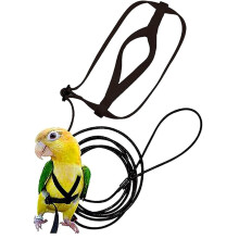 Bird Harness Adjustable Rope Nylon Parrot Harness And Leash For Pet Parrot
