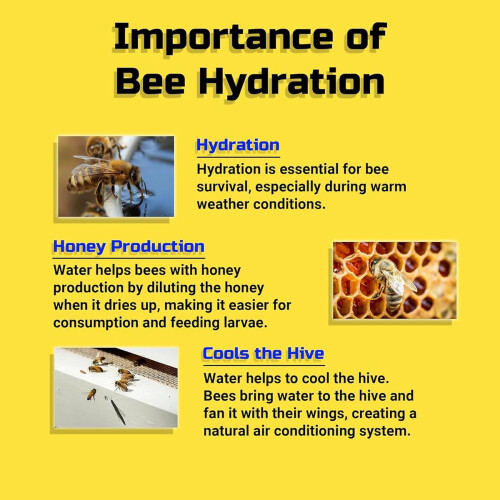 Floating Bee Island Watering Accessories for Bee Bath, Bees, Drinking Beekeeping 2