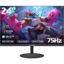 24 Inch Computer Monitor 75Hz IPS Panel,Eye Care 1080P Display HDMI,VGA Ports with 178° Viewing Angle/VESA Compatible for Office and Home