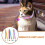 6 Unidades Collares Resistentes Para Y Perros 8