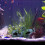 1 Decoración Simulada Acuario Episodio Refugio Peces 9