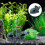 1 Decoración Simulada Acuario Episodio Refugio Peces 4