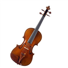English translation: 'Violin Beginner Package European Tonewood Series Matte Color Snakewood Violin Musical Instrument'