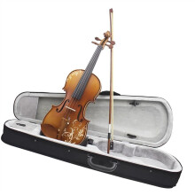4/4 Violin Beginner Set  Acoustic Maple Carved Violin with Case and Bow, Starter Fiddle Kit for Music Learners