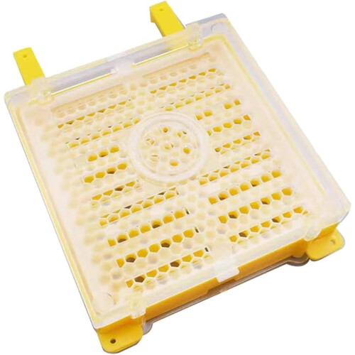 Beekeeping King Queen Rearing Box Cup Cell Cage Beekeeping Bee Tools Accessories 2