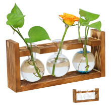 Pots For Plants Plant Propagation Stations Glass Terrarium Planter With Wooden Stand Compact Hydroponic Office Decor