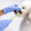 1 Escova De Dentes Para Animais De Estimação 9