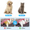 1 Escova De Dentes Para Animais De Estimação 11
