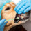 1 Escova De Dentes Para Animais De Estimação 6