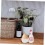 Ceramic Egg Cup Floral Chicken Design Single Egg Holder Soft or HardBoiled Eggs Stable Flat Base 5