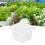 Γλάστρες Aquaponics με δίχτυ και σχεδιασμό κυκλοφορίας αέρα, καλάθια φύτευσης με 4