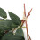 Ιταλικά φύλλα ιτιάς Ruscus, τεχνητά πράσινα, γιρλάντες, μεταξωτά φυτά, διακόσμηση 7