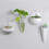 Creative Vertical Planters Wall Mounted Plastic Pots For Indoor Greenery Transparent Cone 4