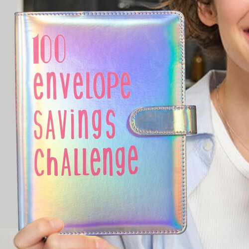 Money Saving Challenge  Budget Folder with Cash Envelopes silver 1