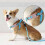 Antiloss case compatible with SmartTag 2 pet locator, protective cover, waterproof device, scratchresistant. 4