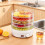 Vegetables Dehydrator 8Level Adjustable 5 Stackable Trays 280x280x320mm Dual Voltage 110V/220V White 5