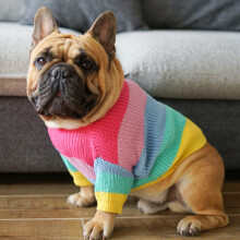 Roupa listrada para cães, ideal para outono e inverno. Suéter estiloso para animais de estimação com design inspirado em utensílios para