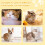 Cat claw scissors, pet grooming scissors with doublehole design for small animals 3