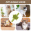 Cat Self Scratcher, Silicone Massage Strap, Waterproof Shedding Trimmer for Home Use 3