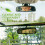 Elegant Design Auto Charm Zon Geknoopt 1 Set 9