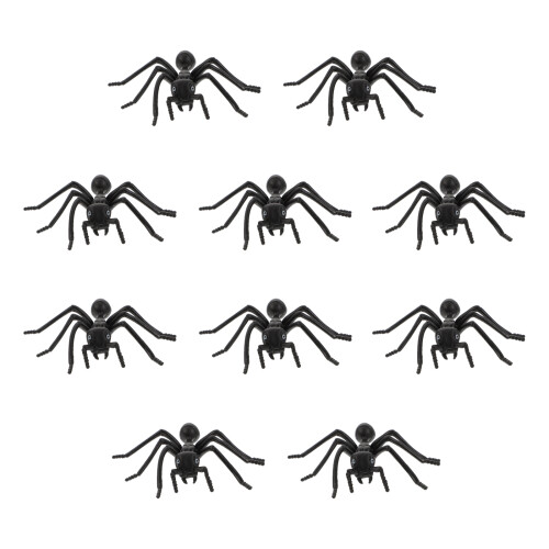 10 Scarafaggi Neri Realistici Per Decorazioni Halloween 2